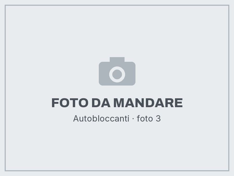 Autobloccanti: foto da mandare